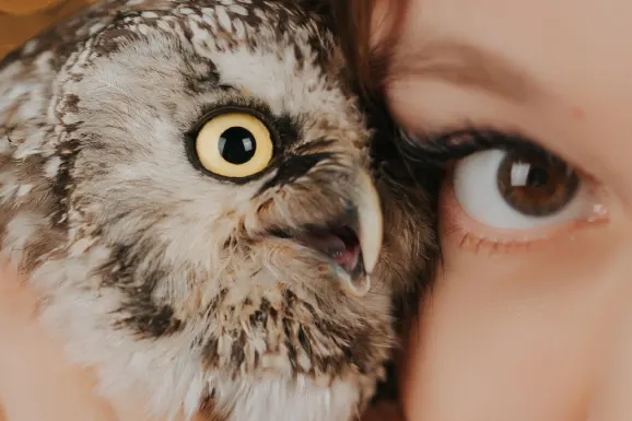 Betitall Casino Kundeservice